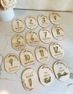 Set of 15 3D Milestone Set - Luxe Decor by Lisa